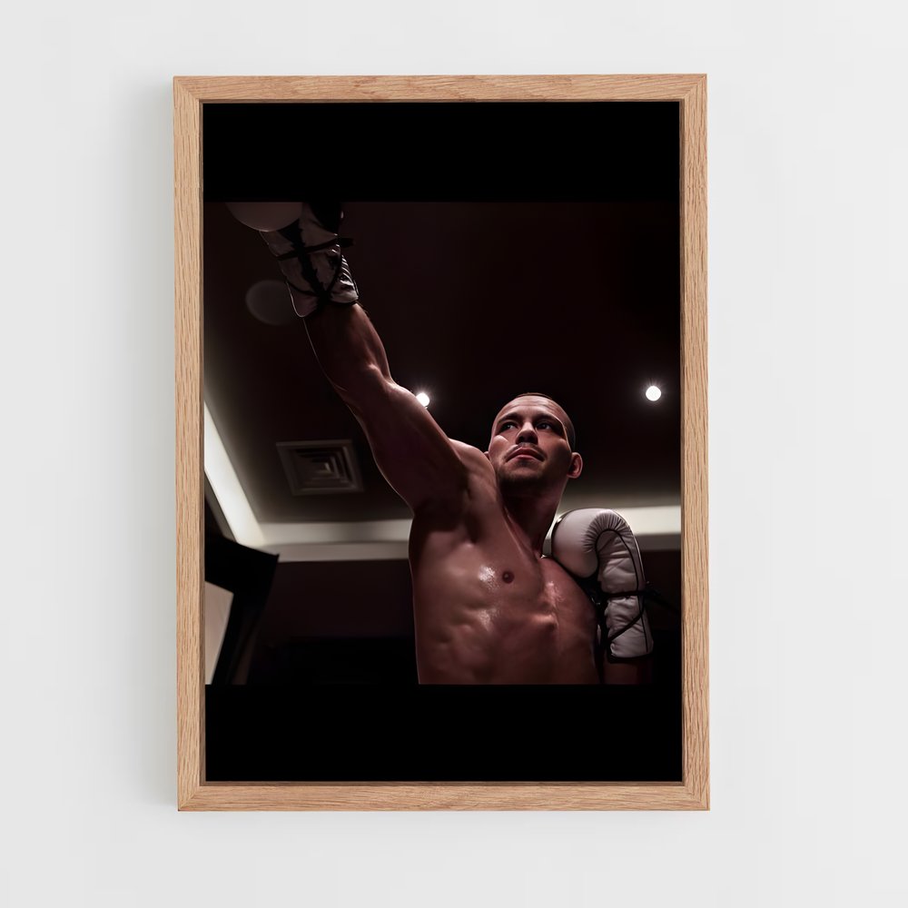 Poster Robin van Punchline – affiche Kick-boxing (vue 4)